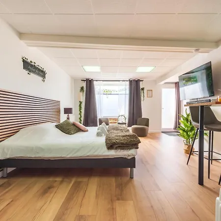 La Petite Jungle Romantique - Balneo Et Detente Schweighouse-sur-Moder